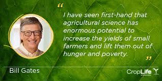 10 bill gates quotes every business owner needs to hear. Bill Gates Quote Croplife International
