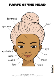 Englishclub Poster Parts Of The Head Ukus Jpg 3508 4961 Ingilizce Ingilizce Dilbilgisi Egitim