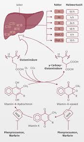 Wirkstoff Lexikon Marcumar Phenprocoumon