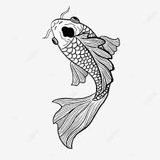 Pada kesempatan kali ini kita akan membahas tentang gambar ikan dan berbagai jenisnya. Ikan Kartun Hitam Putih