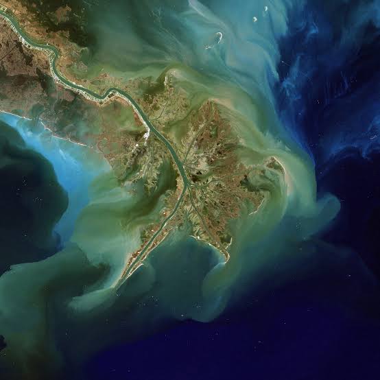 Massive 8,000-mile Gulf of Mexico 'dead zone' could be one of the largest |  National Geographic