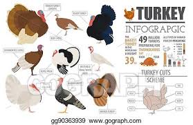 Vector Clipart Poultry Farming Infographic Template