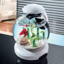 Beli aquarium toples kaca bulat untuk ikan cupang dll. Daftar Harga Aquarium Mini Bulat Murah Puluhan Ribu Rupiah 2021