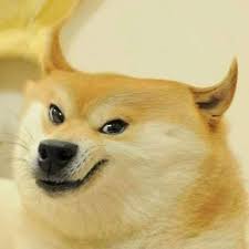 The fastest meme generator on the planet. Christmas Decoration Garland Tree Doge Meme Doge Funny Dogs