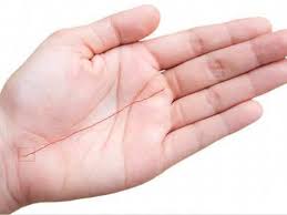 These lines are on the side of the hand below the small finger and are also sometimes called the marriage lines. Know What The Money Line In Your Palm Says About You The Times Of India