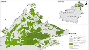 Maybe you would like to learn more about one of these? Conservation In Focus As Survey Shows Drop In Malaysia Orangutans Business And Economy Al Jazeera