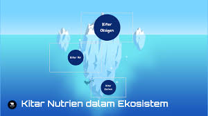 Play this game to review environment. Kitar Nutrien By Boon Hong Chai