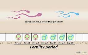 Positions To Conceive A Boy Pregnant With A Girl Baby Boy Tips Conceiving A Girl
