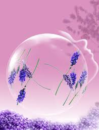 شفافة بالون ملفوف بنفسجي لافندر صور الخيال Logo Design Health How To Introduce Yourself Transparent Balloons