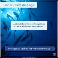 Pêche industrielle VS pêche à la ligne Deux façons de pêcher. Deux impacts radicalement différents. La pêche industrielle fonctionne à grande échelle : filets géants, prises massives, fonds marins fragilisés. La pêche