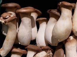 In a oysters ((3 oz serving)) there are about 58 calories out of which 19 calories come from fat. The Health Benefits Of King Oyster Mushrooms 131 Method