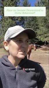 Is the human desensitized to the horse's behaviour?,  #alternativehorsemanship #remotehorsecoach #horsebehaviour #horse #pferd  #caballo