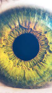 Eye Human Nature Pupil Body Science Flare Blue Android - Android, Natural  Science HD phone wallpaper | Pxfuel