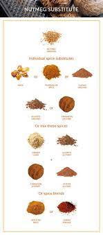 Nutmeg Substitute Cooking Substitutions Cloves Spice Spice Substitutes