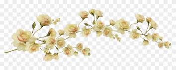 1000 Images About Png Series Aesthetic Flower Transparent Free Transparent Png Clipart Images Download free transparent png clipart images