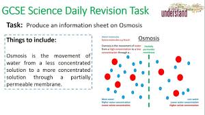 Gcse Science Daily Revision Task 8 Osmosis Gcse Science Science Daily Gcse Science Revision