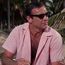 Cool-Ray Polaroid N135 styled by Cari Michell