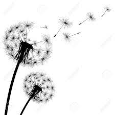 Black Silhouette With Flying Dandelion Buds On A White Background Dandelion Tattoo Design Dandelion Drawing Dandelion Tattoo