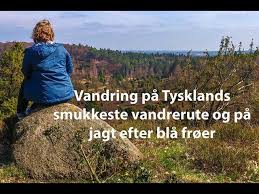 Tyskland har ett tempererat fuktigt klimat med förhållandevis små regionala skillnader. Vlog Vandring Og Natur I Luneburger Heide Tyskland Youtube