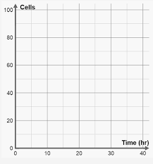 The length of the cell cycle can be controlled, and data related to the number of cells present and their current phase can. Https Www Wasatch Edu Cms Lib Ut01000315 Centricity Domain 375 Gizmo 20mitosis 20worksheet Pdf