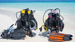 Best Dive Gear Bag For Scuba Gear And Diving Accessories Scuba Diving Lovers