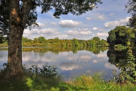 Die gemeinde simmerath ist etwa 10 km von ihrem hotel entfernt, das zentrum der gemeinde erreichen sie nach 12 km. Westerwalder Seenplatte Nabu Stiftung Nationales Naturerbe
