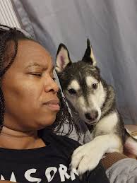 Why does my cat demand my attention so early?