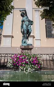 Image result for Terpsichore cultrata