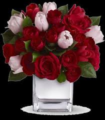 Maybe you would like to learn more about one of these? Buy Send Tulips Online Red Pink Black Tulips Flowers Deliver Doha Qatar