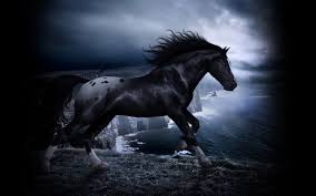 Black Horse Dark Wallpapers Hd Desktop And Mobile Backgrounds