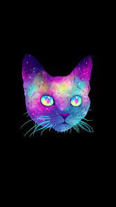 Galaxy Cat Wallpapers Wallpaper Cave A collection of the top 46 galaxy cat wallpapers and backgrounds available for download for free.