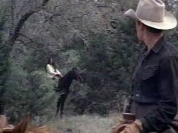 I cavalli sono l'anima e il sangue della storia. Passione Ribelle Streaming 2000 Cb01 Cineblog01 Film Streaming