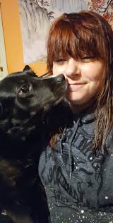 Introduction of boxerdog Daisy Mae