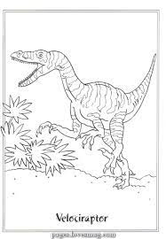 Creative And Great Coloring Drawings Velociraptor Picture Velociraptor Dinosaur Coloring Pages Dinosaur Coloring Cool Coloring Pages