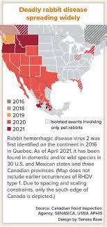 Lethal Rabbit Illness Marches Across North America News Vin