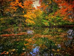 Herbst Am Starnberger See Park Des Buchheim Museums Der Phantasie In Bernried Starnberger See Orte See