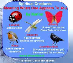 Spiritual Creatures Creature Meaning Spirituality Spells For Beginners