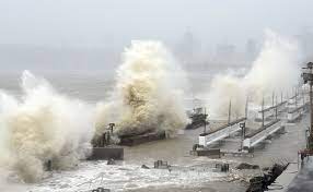 Cabinet minister bavaliya visits amreli to take stock of preparedness updated: Laz4tjq7eu09m