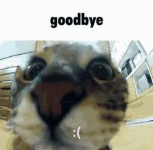 40 farewell memes ranked in order of popularity and relevancy. Goodbye Cat Meme Gifs Tenor