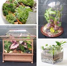 Terrariums Terrarium Garden Terrarium Indoor Plants