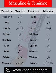 Masculine And Feminine With Urdu Meanings Download Pdf Free In 2020 Learn English Words English Vocabulary Words English To Urdu Dictionary