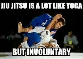 Pin By Linda Cook On Jiu Jitsu Jiu Jitsu Memes Jiu Jitsu Quotes Jiu Jitsu Humor