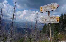 Image result for kosovo i cakorr