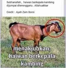 Oh my ganu full movie. Oh My Ganu Home Facebook