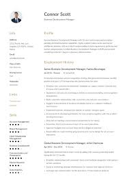 Business Development Manager Resume Template In 2020 Manager Resume Resume Guide Accountant Resume