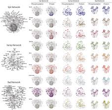 Are you the creator of this tool? Proteine Atlas Rat New Cell Atlas Shows Subcellular Distribution Of 12 000 The Testes Have The Highest Number Of Unique Proteins Followed By The Brain And The Liver The Researchers Found Reihanhijab