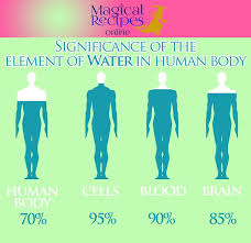 Enchanting Your Bathroom Into A Magical Water Shrine Human Body Body Benefits Of Drinking Water