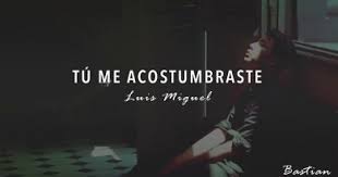 Voy a amarte tanto tanto. Luis Miguel Hasta Que Me Olvides Tekst