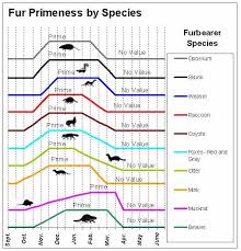 Njdep Division Of Fish Wildlife Trapping Season Information