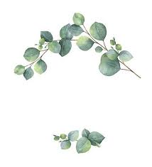 Eukalyptus Aquarell Bild Aquarell Ideen Wasserfarbenblumen Aquarell Tapete